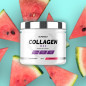 Collagen Max (350 g)