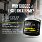 Testo GH Xtrême (300 g)